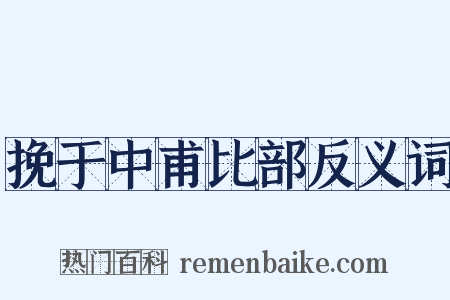 挽于中甫比部反义词是什么意思的图片